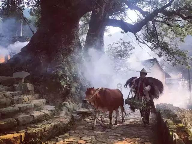 860余户适龄特殊儿童家庭，迎来了好消息！