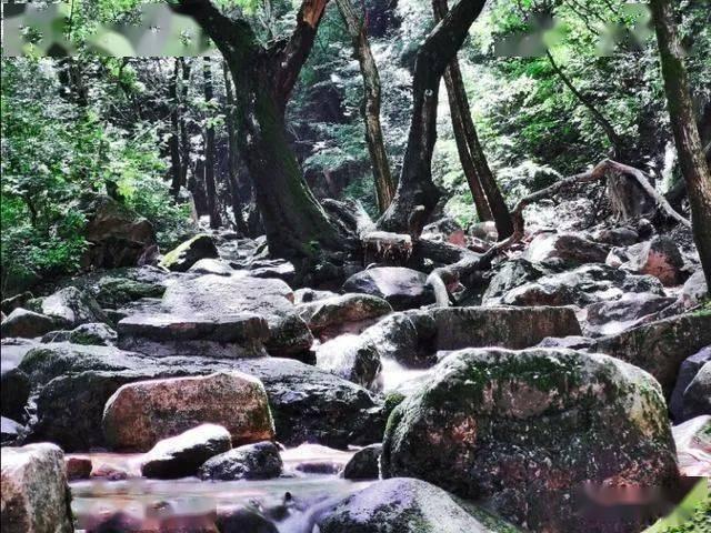 街篮高手